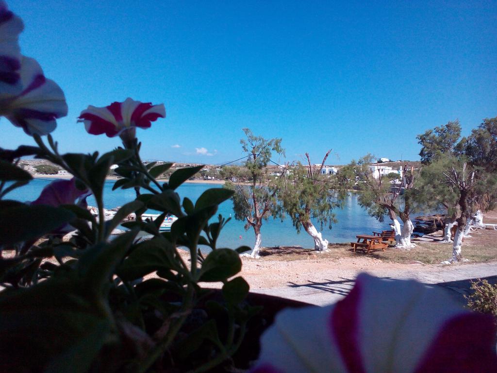 فندق Bocamviglies By The Sea ناوسا المظهر الخارجي الصورة