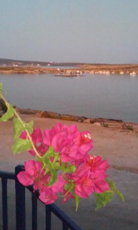 فندق Bocamviglies By The Sea ناوسا المظهر الخارجي الصورة